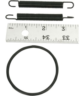 SPRING/O-RING KIT 250R