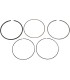 PISTON RING VM 3.875/STD
