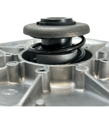 SECONDARY CLUTCH POL MOOSE