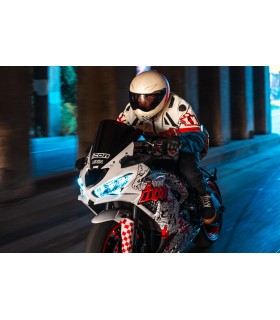 HELMET DOMN SLABTOWN WT LG