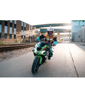 HELMET AFRM SCATTERBRAIN PR LG