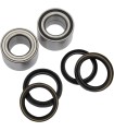 BEARING RR WHL LTA700X