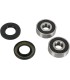 BEARING FRT WHL K07-000