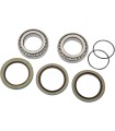 BEARING WHL RR P10-000
