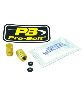 CAP VALVE STEM GOLD
