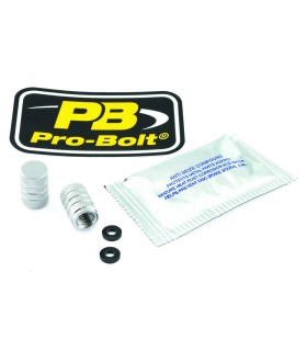 CAP VALVE STEM SILVER