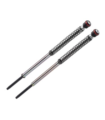 FRT SHOCKS H-D SSTER