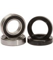 FORK SEAL/BUSHING KIT