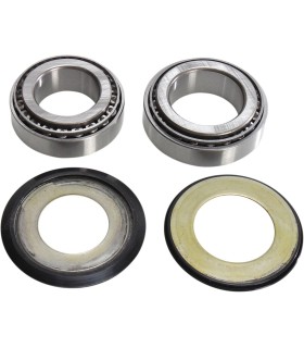 BEARING KTSTRGSTM S12-000