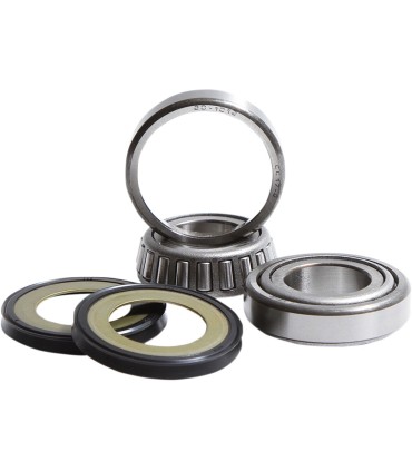 BEARING ASSY STEERING
