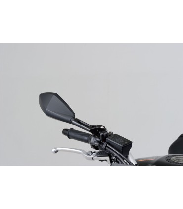 D-MIRROR-12 STEM SET RIGHT