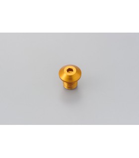MIRROR PLUG BOLT GD RIGHT