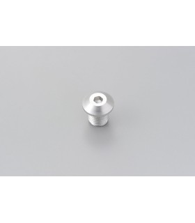 MIRROR PLUG BOLT SV RIGHT