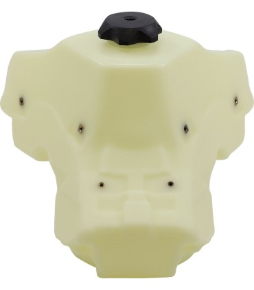 TANK GAS 112257-N2 2.6 G