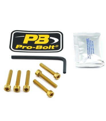 BOLT KIT FUEL CAP GOLD