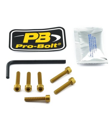 BOLT KIT FUEL CAP GOLD