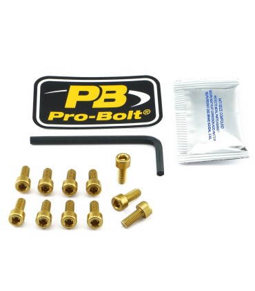 BOLT KIT FUEL CAP GOLD