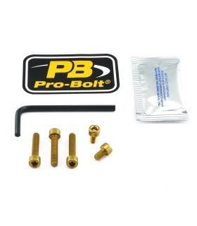 BOLT KIT FUEL CAP GOLD