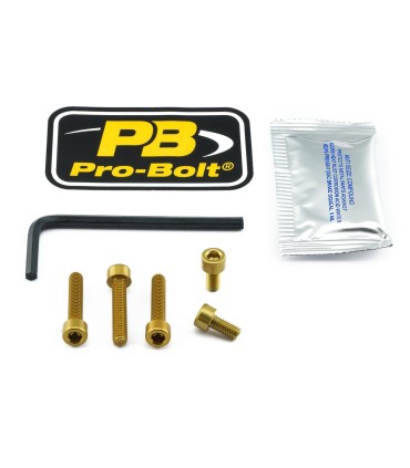 BOLT KIT FUEL CAP GOLD