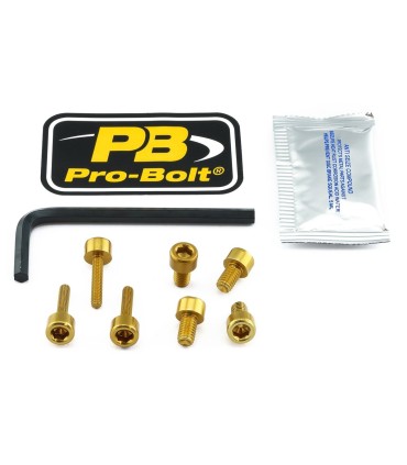 BOLT KIT FUEL CAP GOLD
