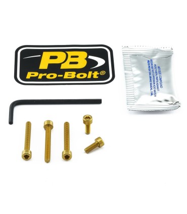BOLT KIT FUEL CAP GOLD