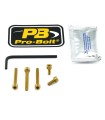 BOLT KIT FUEL CAP GOLD