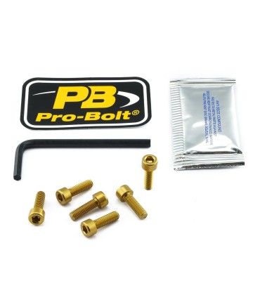 BOLT KIT FUEL CAP GOLD