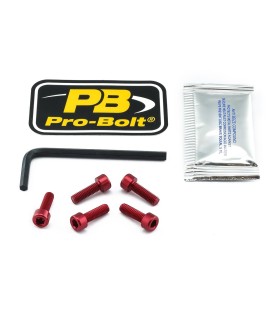BOLT KIT FUEL CAP RED