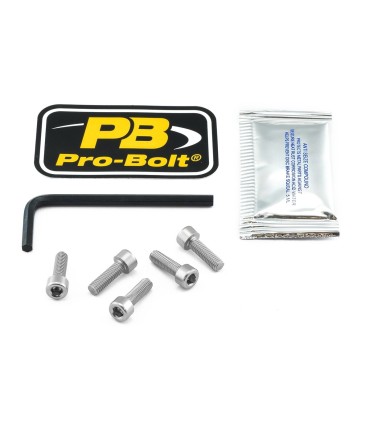 BOLT KIT FUEL CAP SILVER