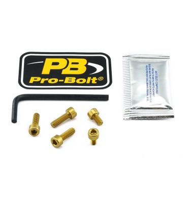BOLT KIT FUEL CAP GOLD