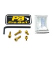 BOLT KIT FUEL CAP GOLD