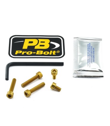 BOLT KIT FUEL CAP GOLD