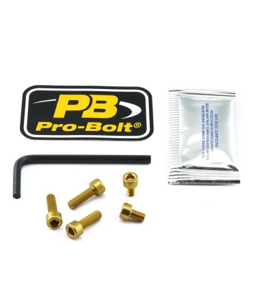 BOLT KIT FUEL CAP GOLD