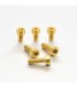BOLT KIT FUEL CAP GOLD
