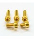 BOLT KIT FUEL CAP GOLD