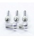 BOLT KIT FUEL CAP SILVER