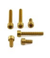 BOLT KIT FUEL CAP GOLD