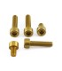 BOLT KIT FUEL CAP GOLD