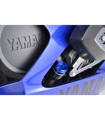 OIL FILLER CAP BULLET M20xP2.5