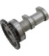 CAM INTAKE KXF250F