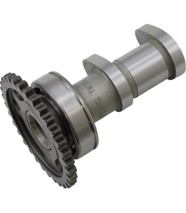 CAM INTAKE KXF250F