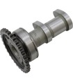 CAM INTAKE KXF250F