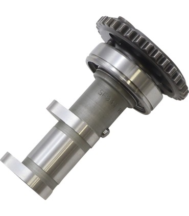 CAM EXH YFZ450/WR450F