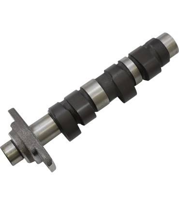 CAM TRX400EX STAGE 2