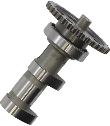 CAM LTR450 06 EX STG 1