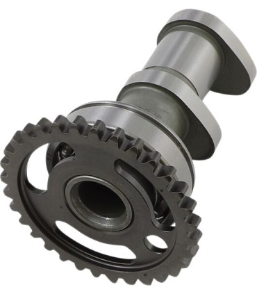 CAM-KX250F/RMZ250 STG2 IN