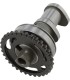 CAM-KX250F/RMZ250 STG2 EX