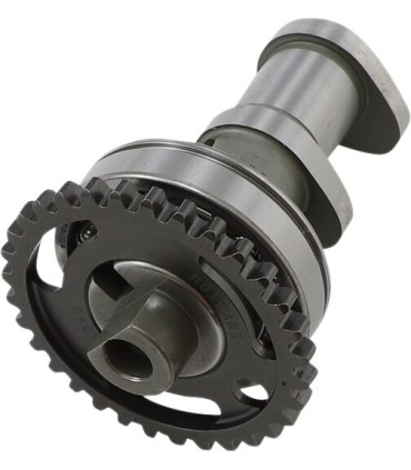 CAM-KX250F/RMZ250 STG2 EX