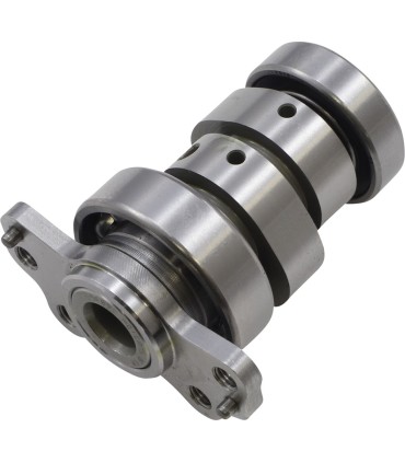 CAM RAPTOR 700 STG 3