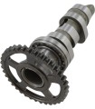 CAM CRF250R STG 3